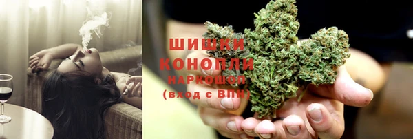 трава Елабуга