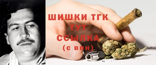 трава Елабуга