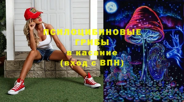 трава Елабуга